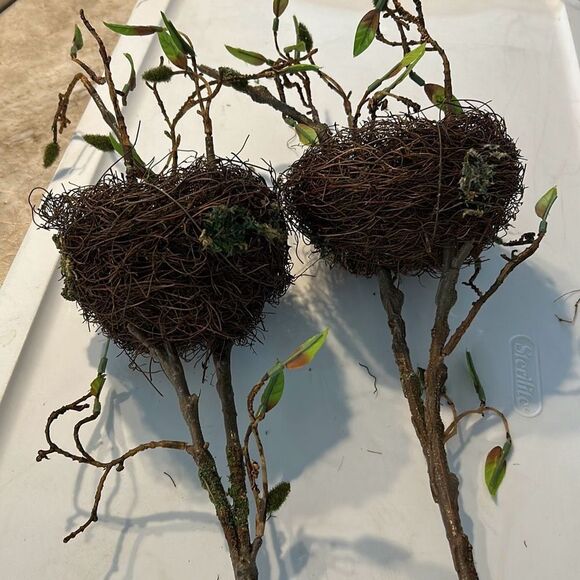 2 Large Bird Best Sprays - Picture 4 of 4